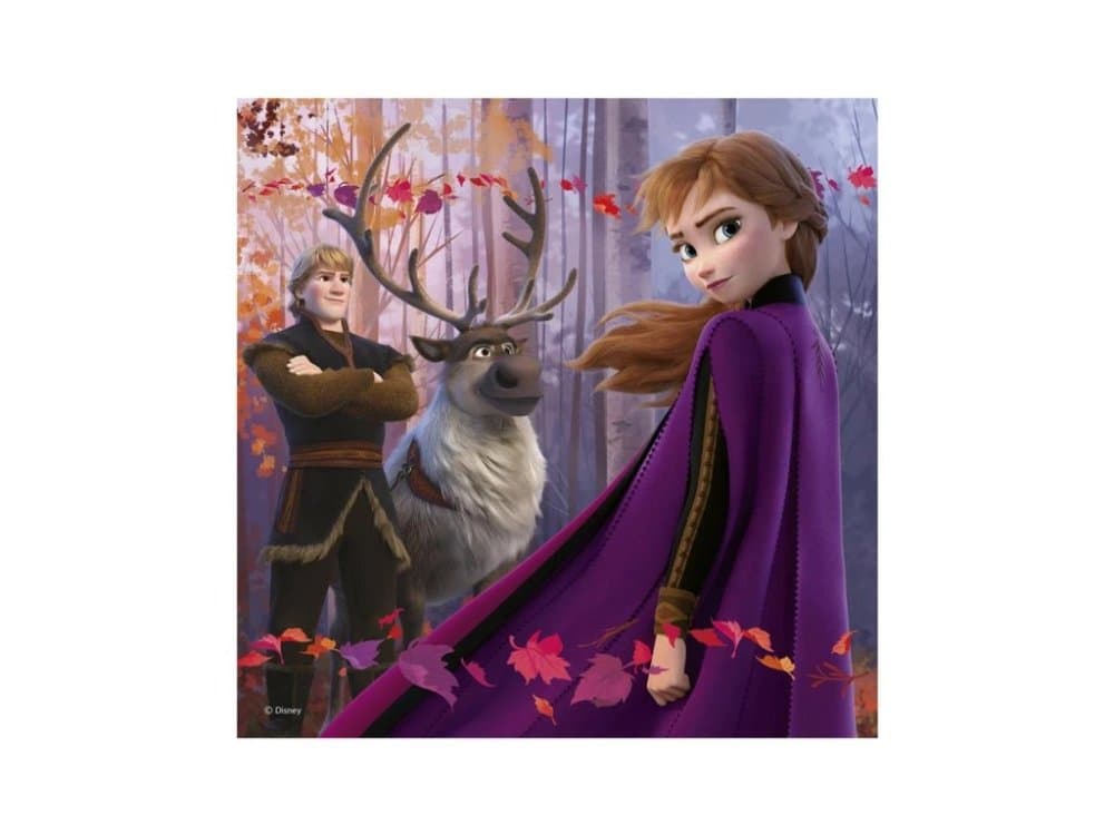 Puzzle 3v1 Ledové království II - Frozen II 3x55 dílků - náhled 2