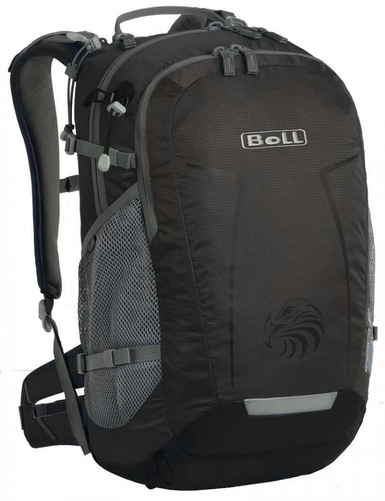 Boll Eagle basalt