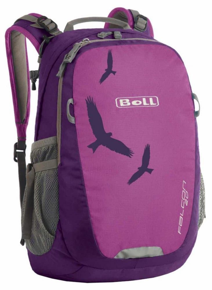 Boll Batoh Falcon boysenberry 20l