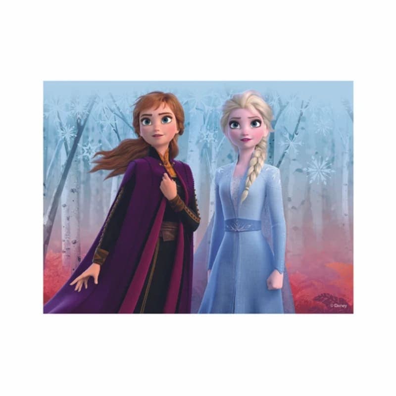 Dřevěné licenční kostky Frozen II - 12 kostek - náhled 4